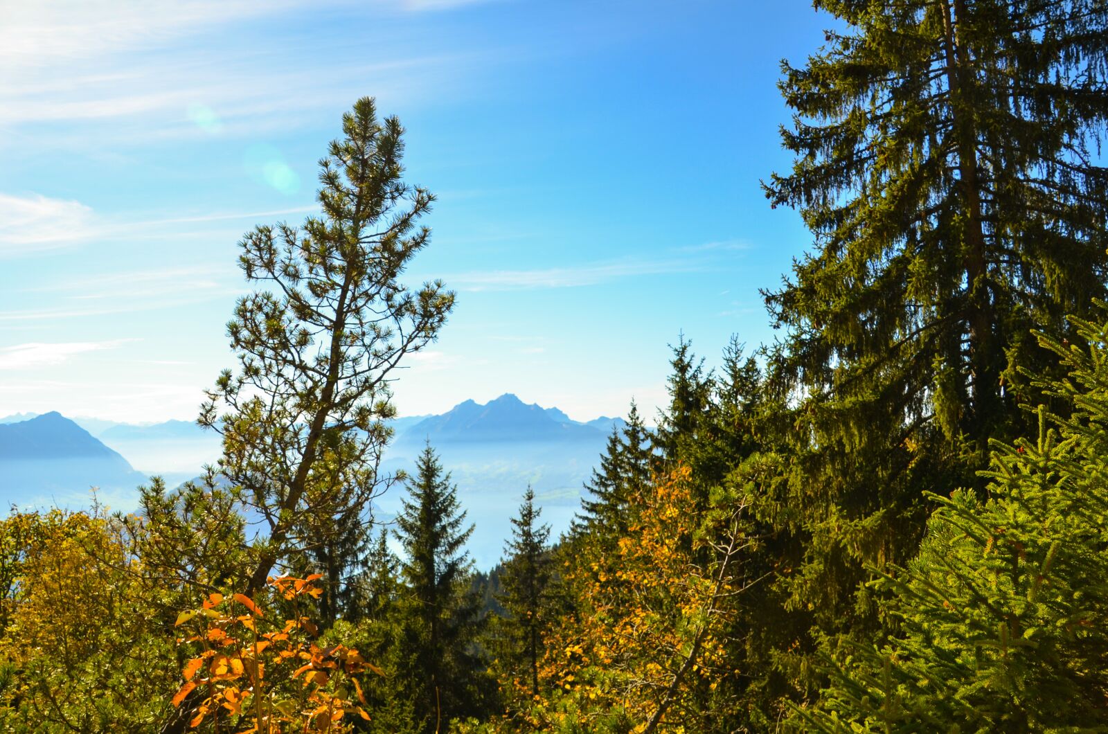 Nikon D7000 sample photo. Pilatus, alpine, blade of photography