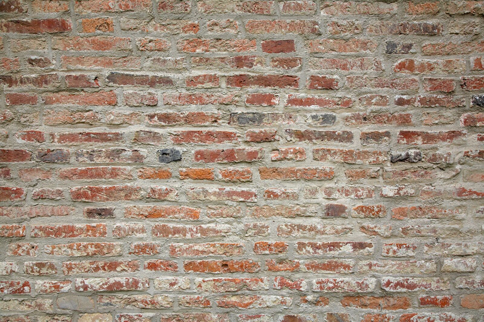Canon EOS 5D sample photo. Wall, masonry, bricks photography