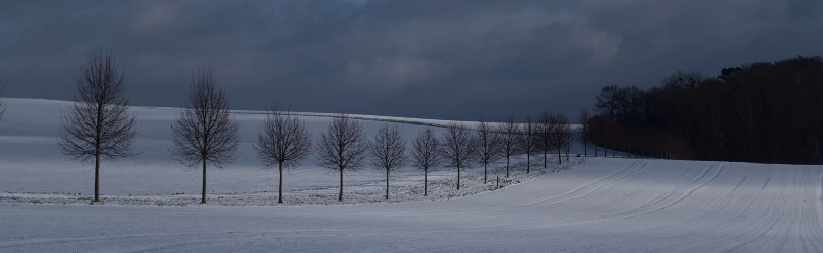 Nikon D5500 sample photo. Winter, cold, snow photography