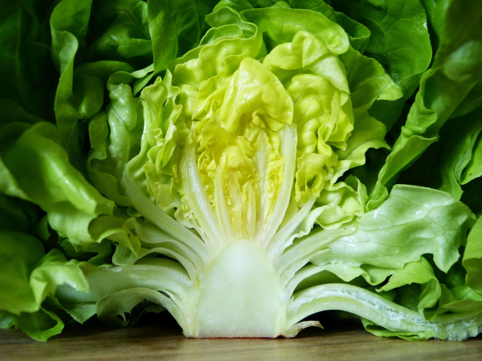 Panasonic Lumix DMC-FZ150 sample photo. Salad, green, healthy photography
