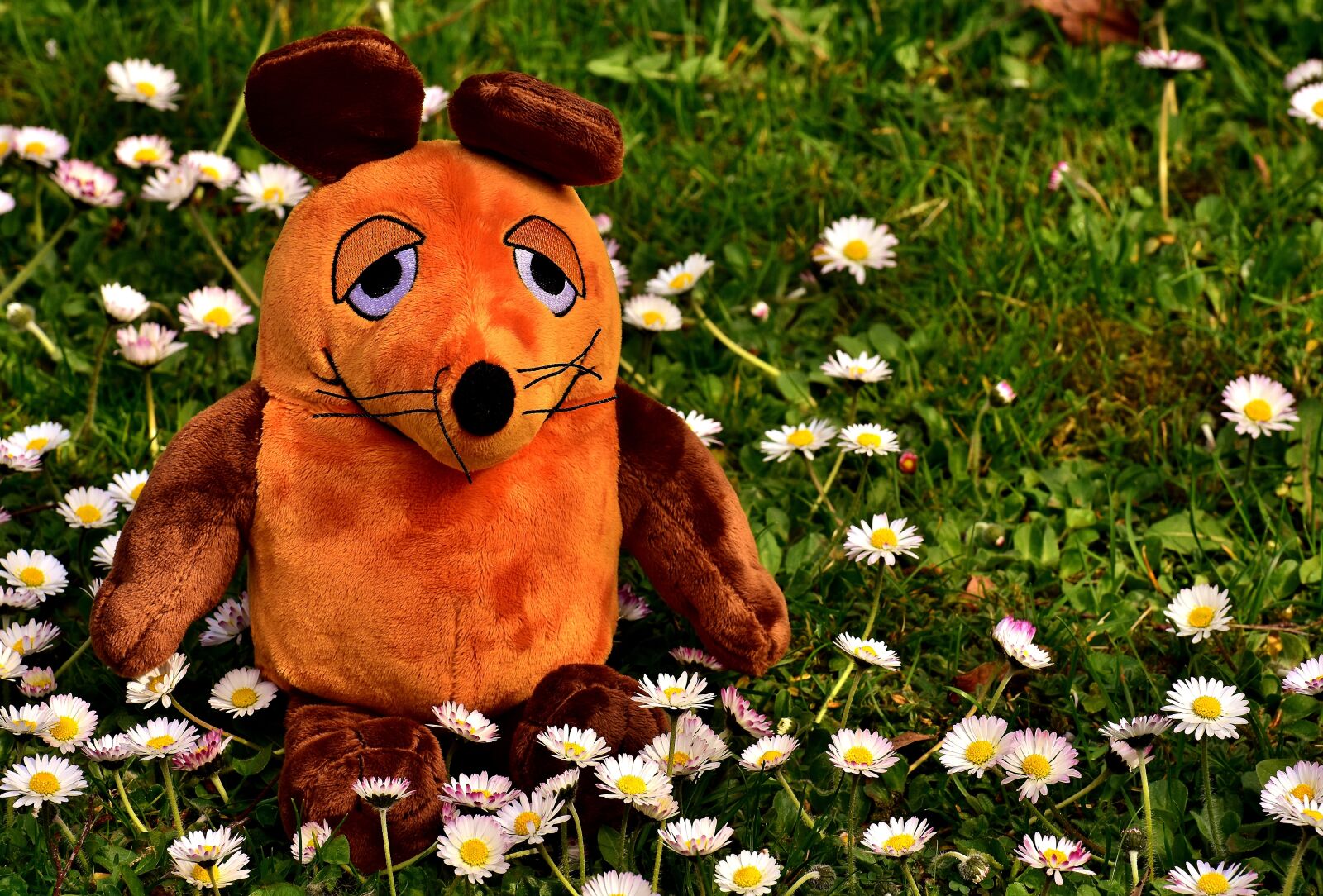 Nikon D7200 sample photo. Mouse, soft toy, teddy photography