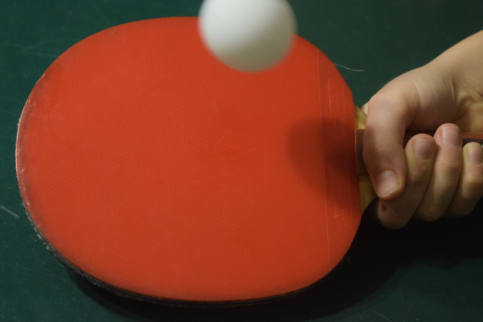 Nikon D3300 sample photo. Table tennis bat, table photography