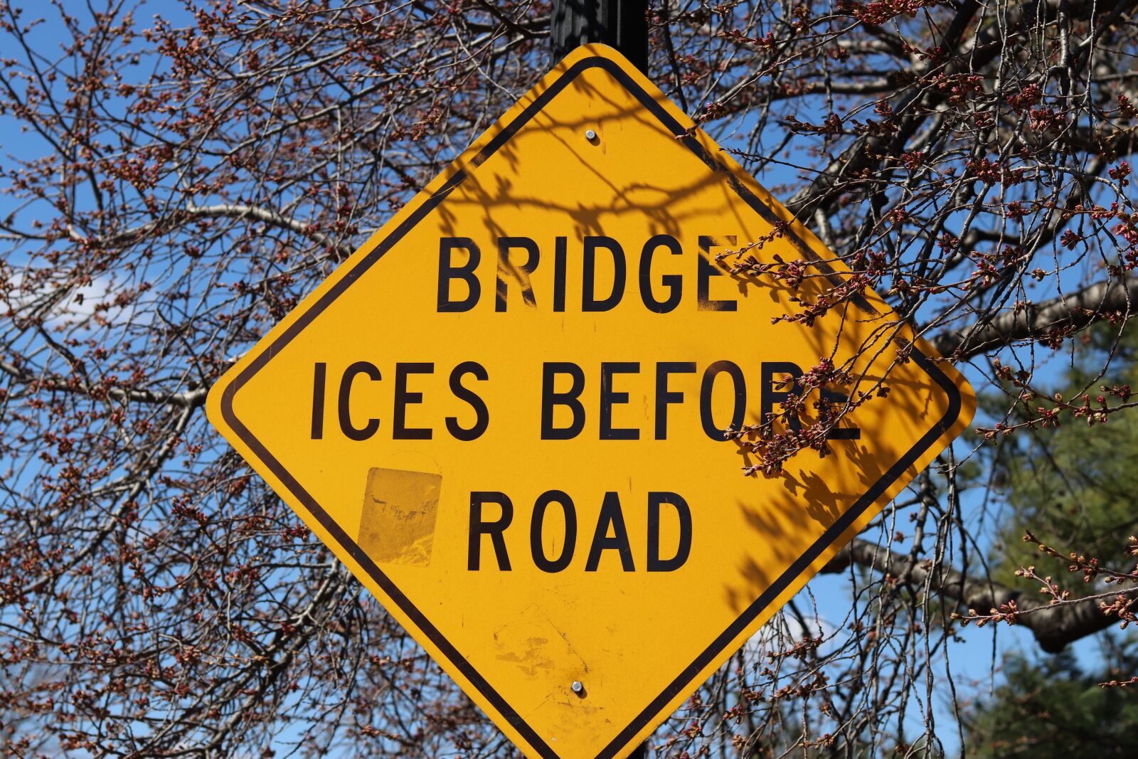 Canon EOS 200D (EOS Rebel SL2 / EOS Kiss X9) sample photo. Road sign, yellow sing photography