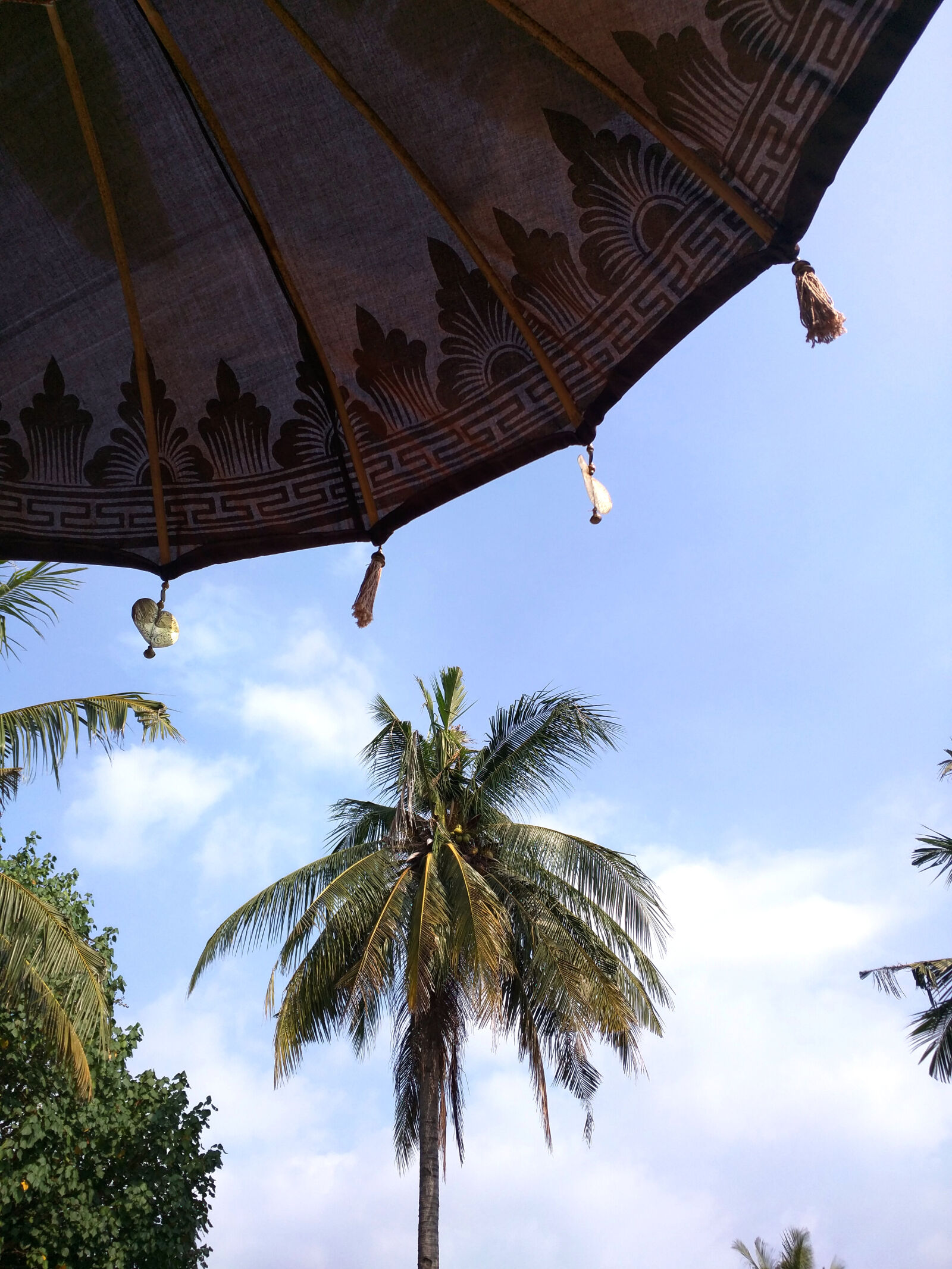 Motorola Nexus 6 sample photo. Bali, blue, sky, palm photography