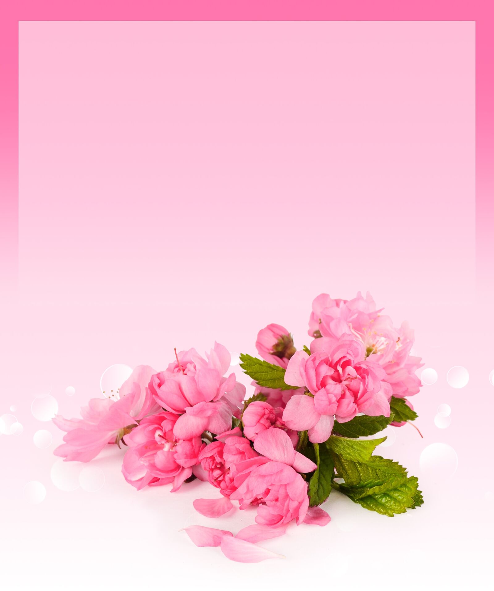 Nikon D5000 sample photo. Card, cherry, background photography