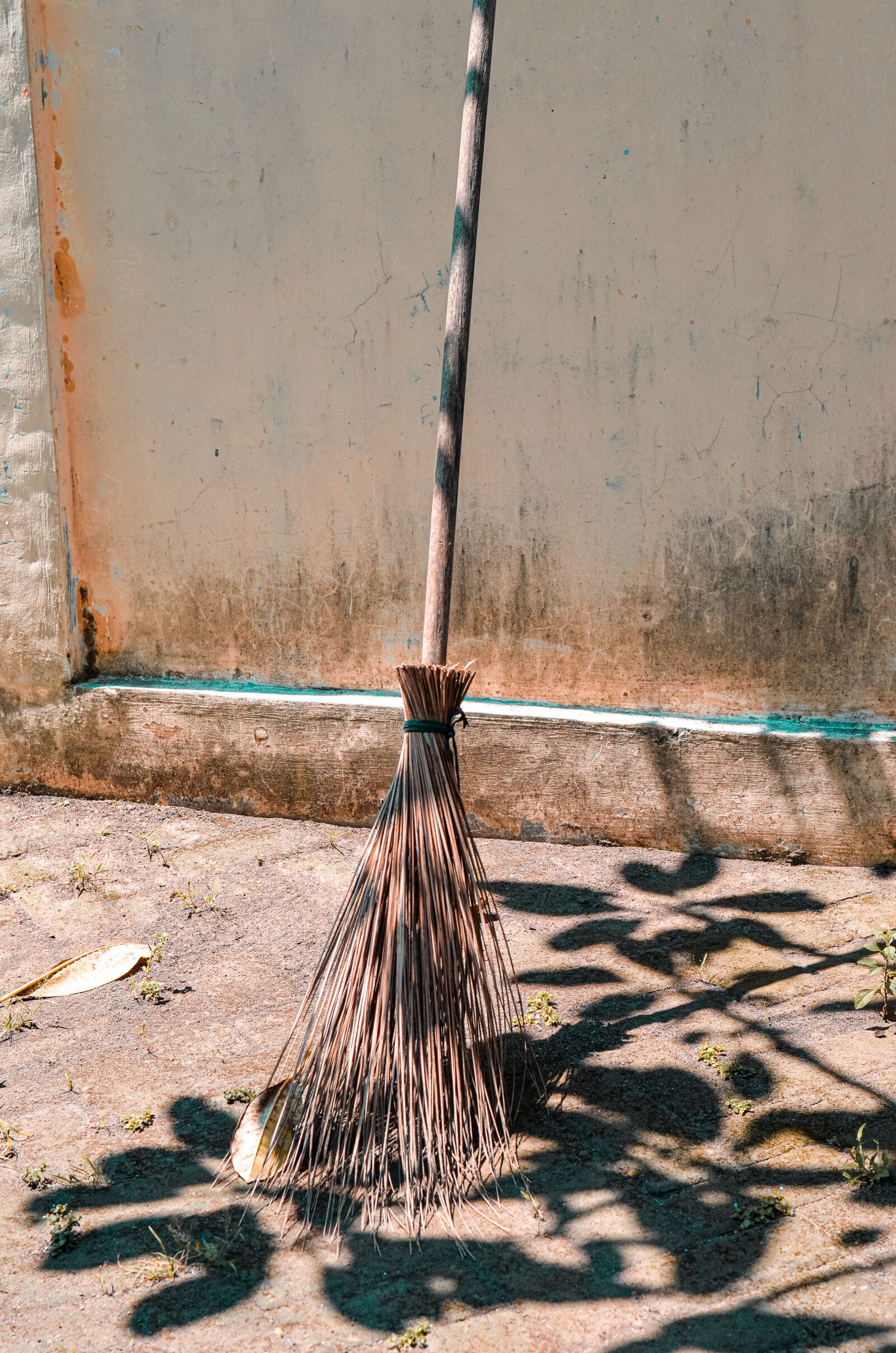 Nikon D5100 sample photo. Shadow, silhouette, bamboo photography
