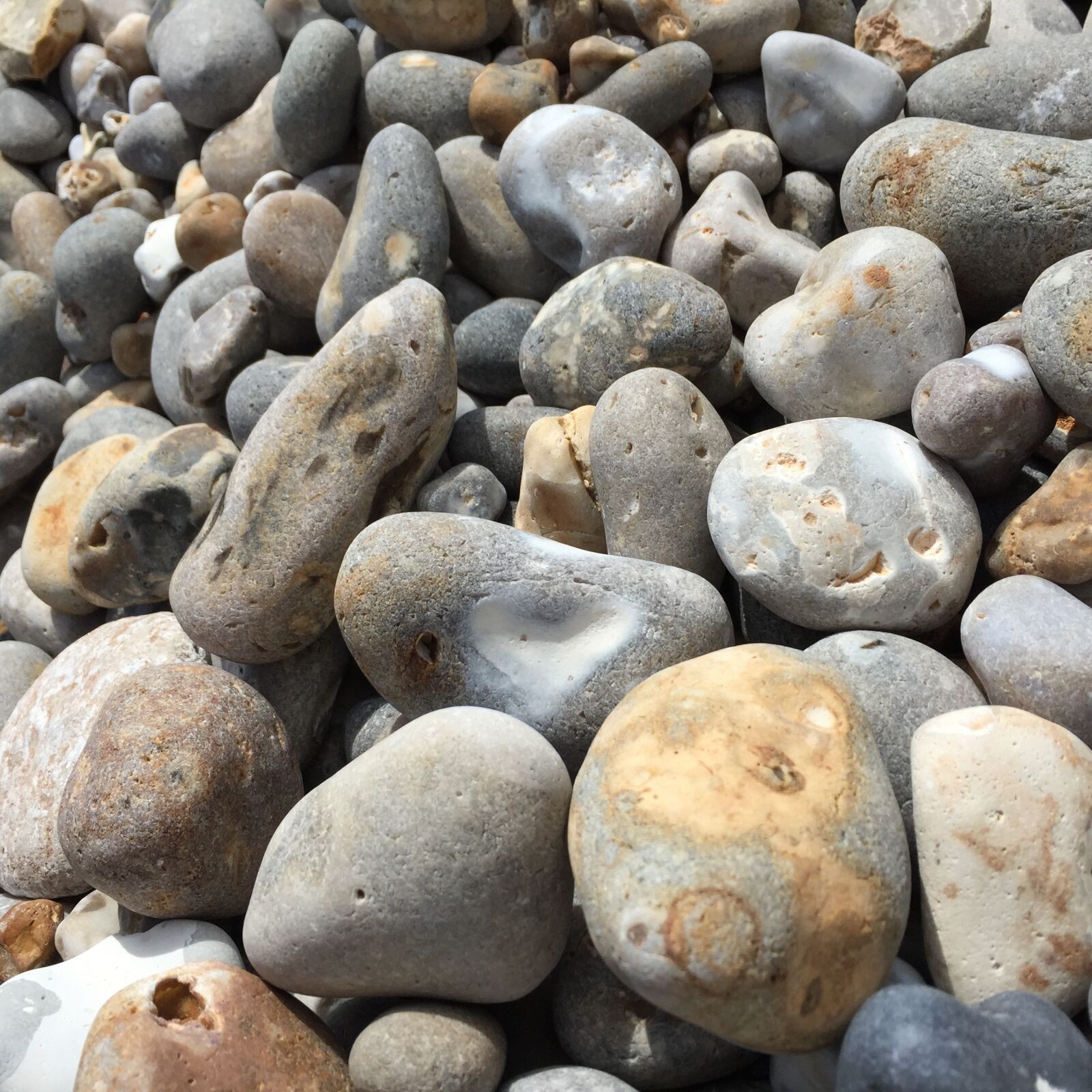Apple iPhone 6 sample photo. Beach, stones, nature photography