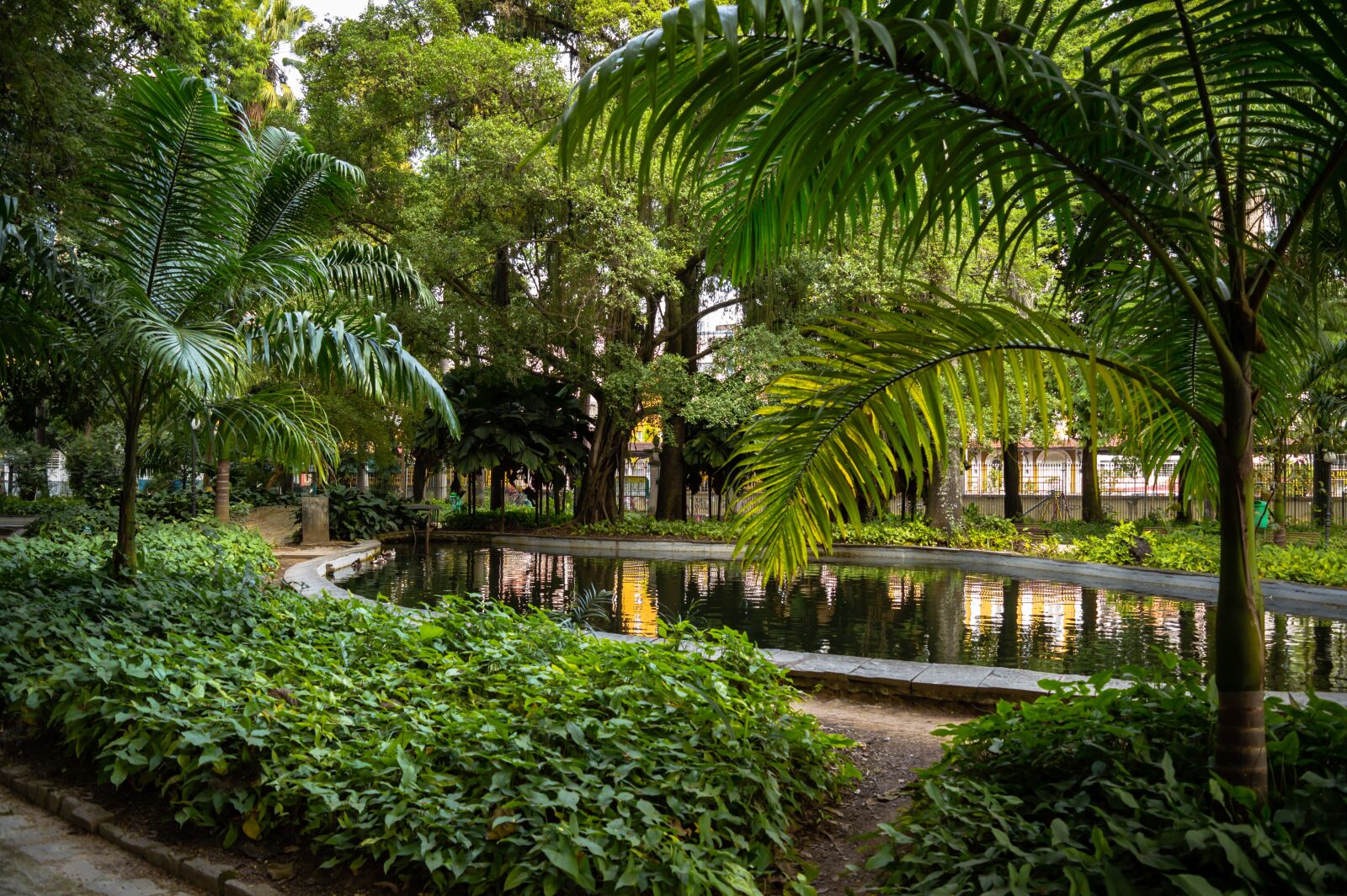 Nikon D3200 sample photo. Jardim das pregui as photography
