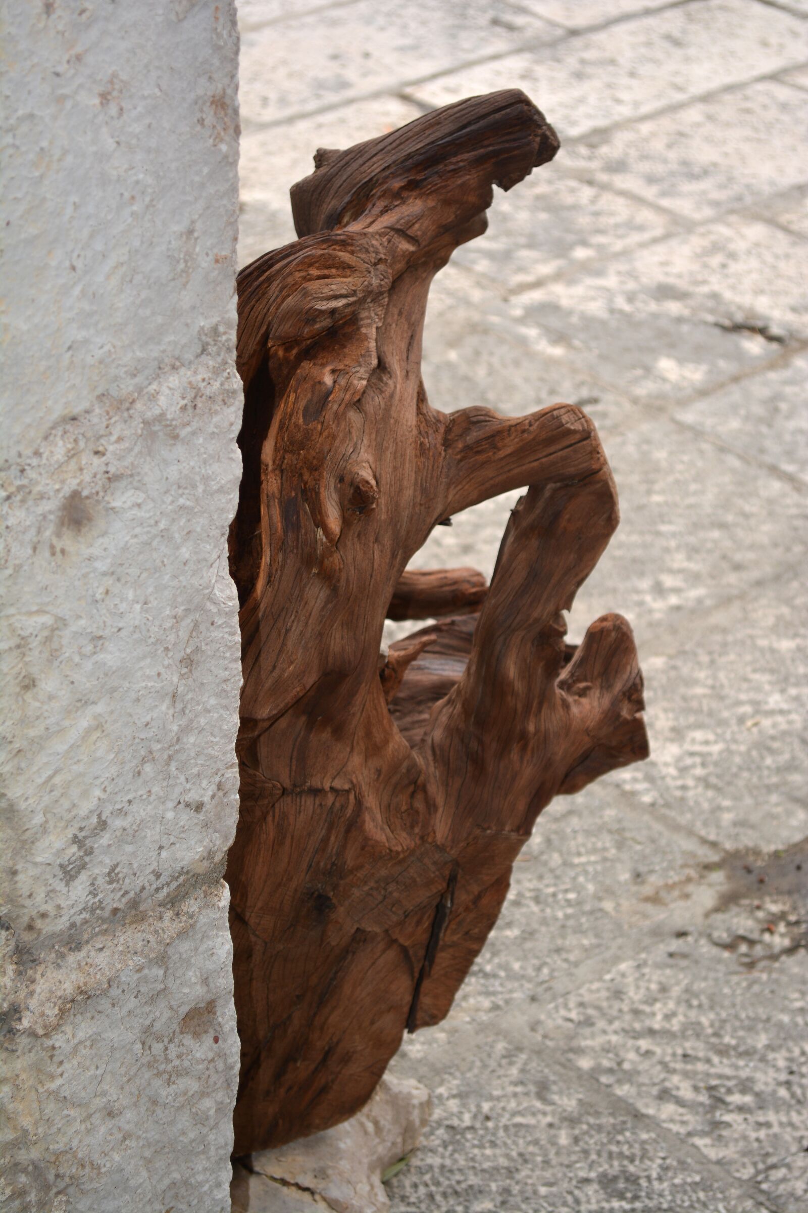 Nikon D5200 sample photo. Root, stump, decorative photography