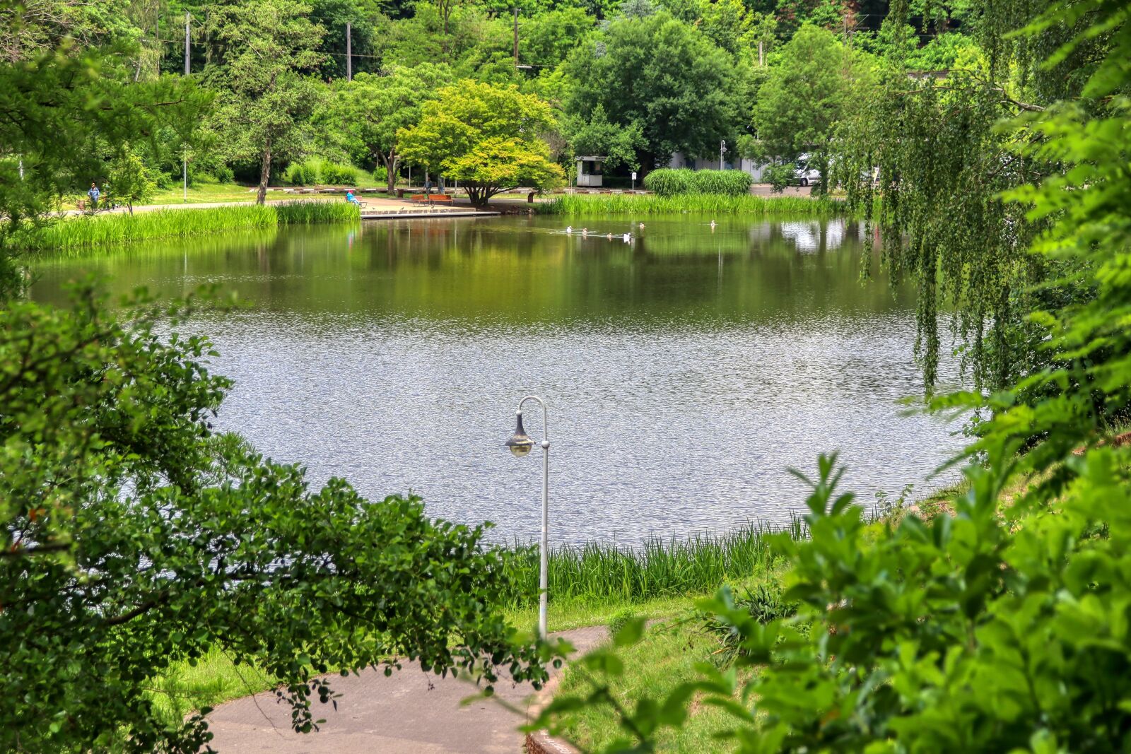 Canon EOS 80D sample photo. Green, water, dfg photography