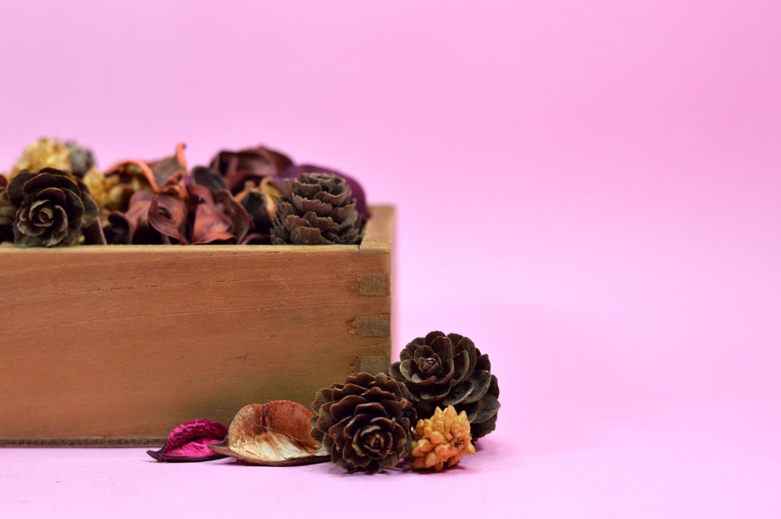 Nikon D3200 sample photo. Potpourri, dry, dehydrated photography