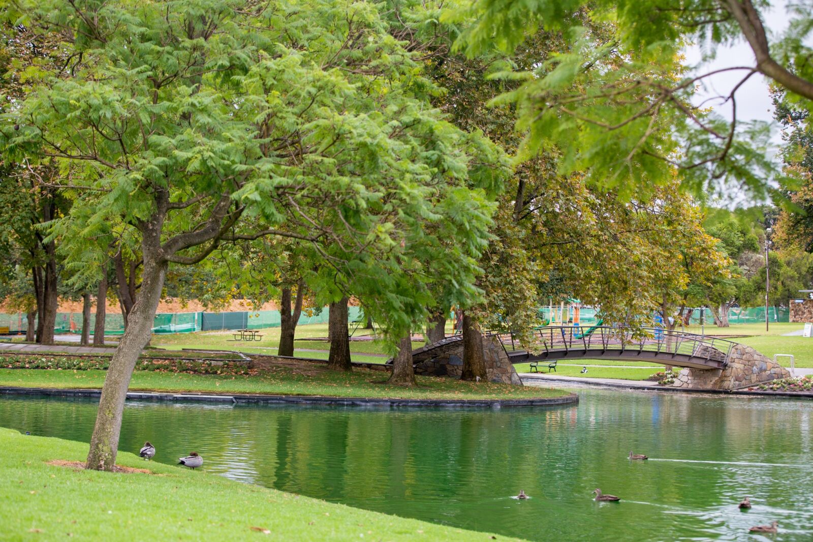 Canon EOS 6D sample photo. Park, green, tranquility photography