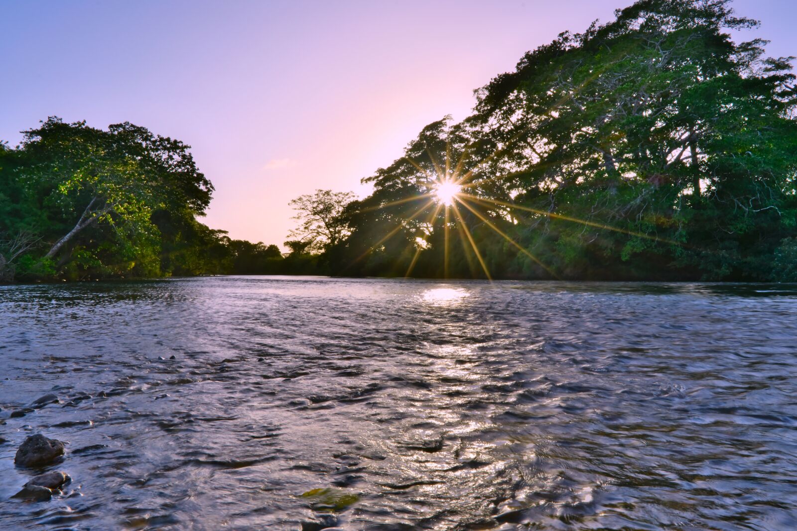 Nikon D7200 sample photo. Water, nature, tree photography