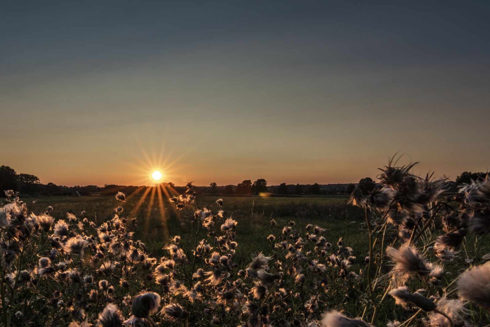 Tokina AT-X Pro 11-16mm F2.8 DX II sample photo. Sunset, different photographed, mecklenburg photography