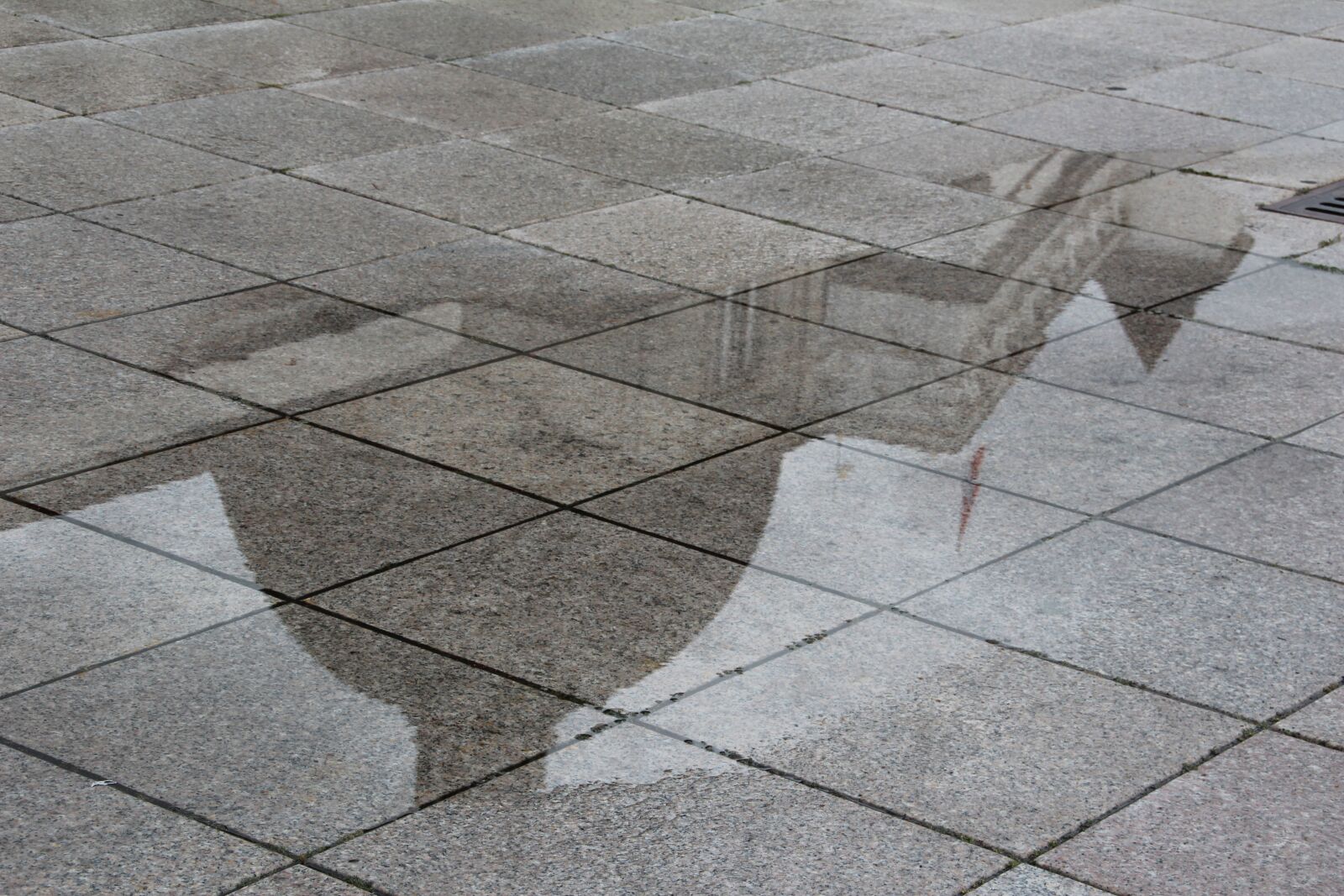 Canon EOS 600D (Rebel EOS T3i / EOS Kiss X5) sample photo. Mirroring, puddle, rain mirror photography