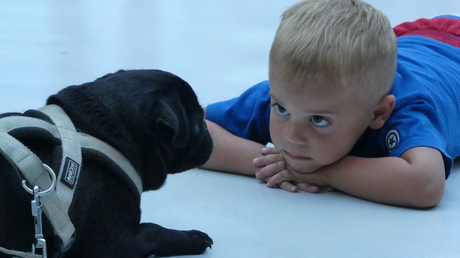 Panasonic Lumix DMC-FZ300 sample photo. Dog, kid, child photography