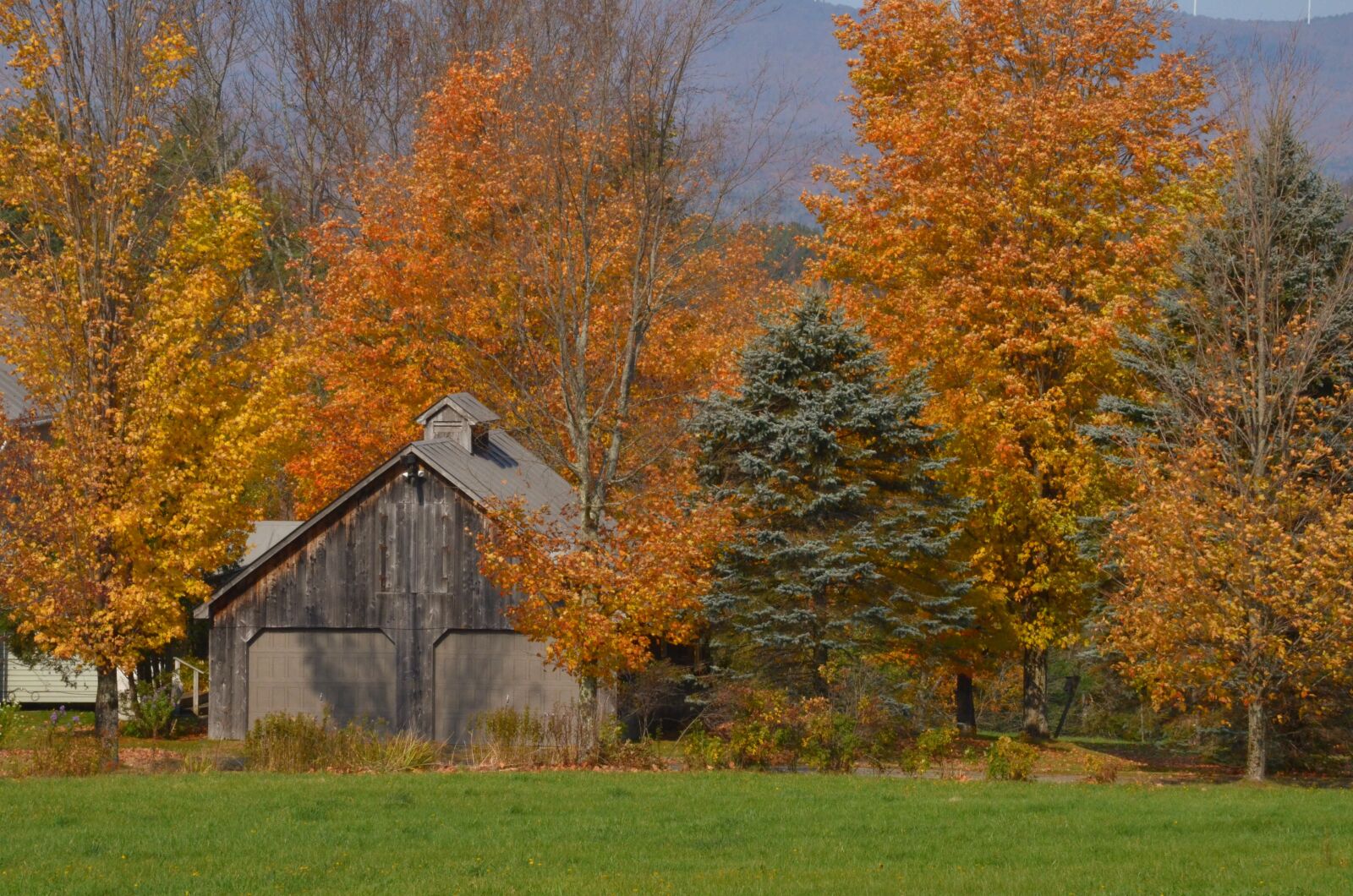 Nikon D5100 sample photo. Vermont, fall, autumn photography