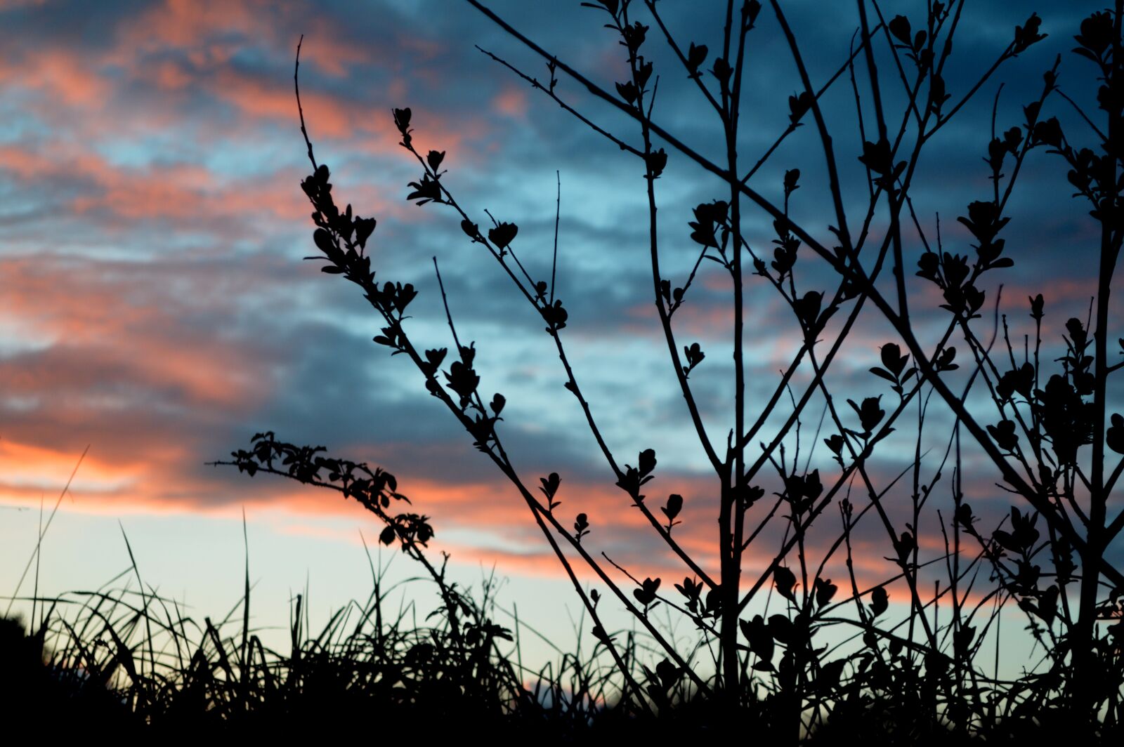 Nikon D3200 sample photo. Sunset, sky, cloud photography