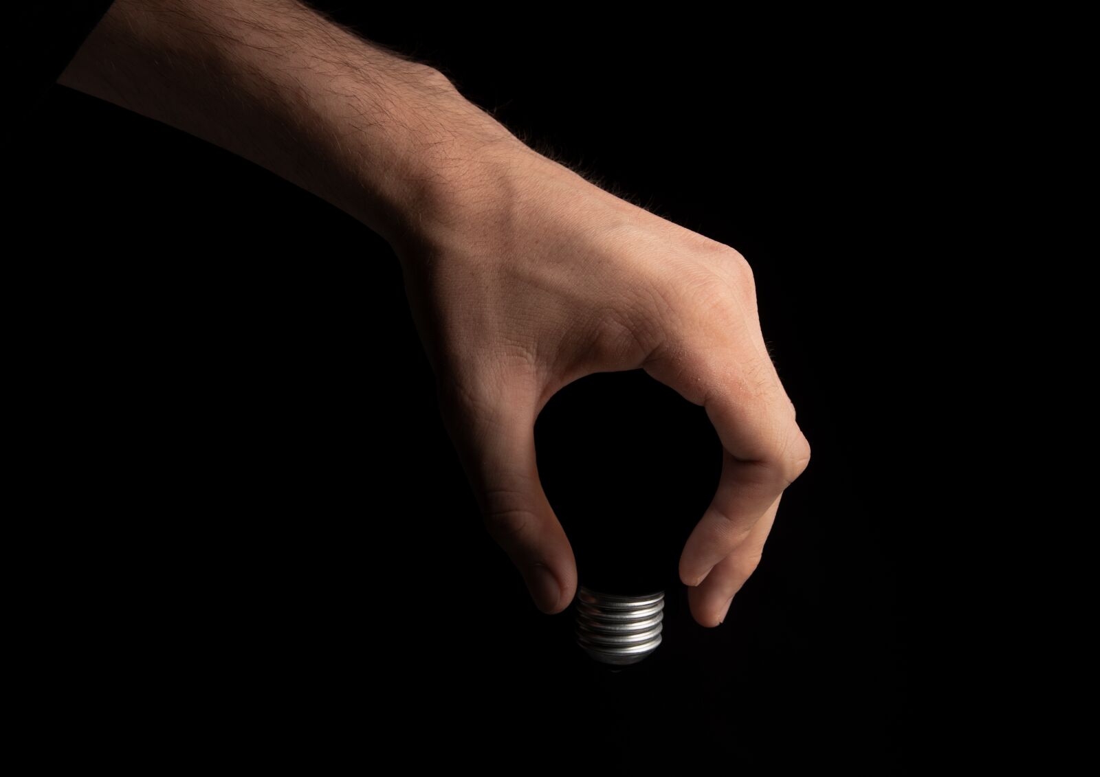 Nikon D750 sample photo. Lightbulb, bulb, hand photography