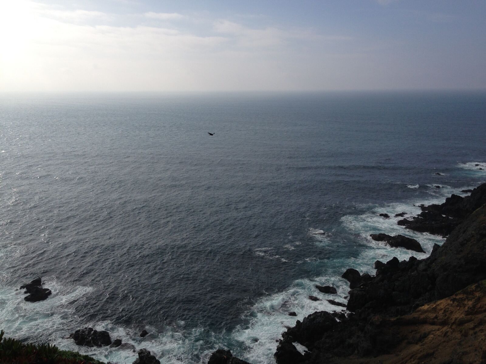 iPhone 5 back camera 4.12mm f/2.4 sample photo. Big sur, ocean, cal photography