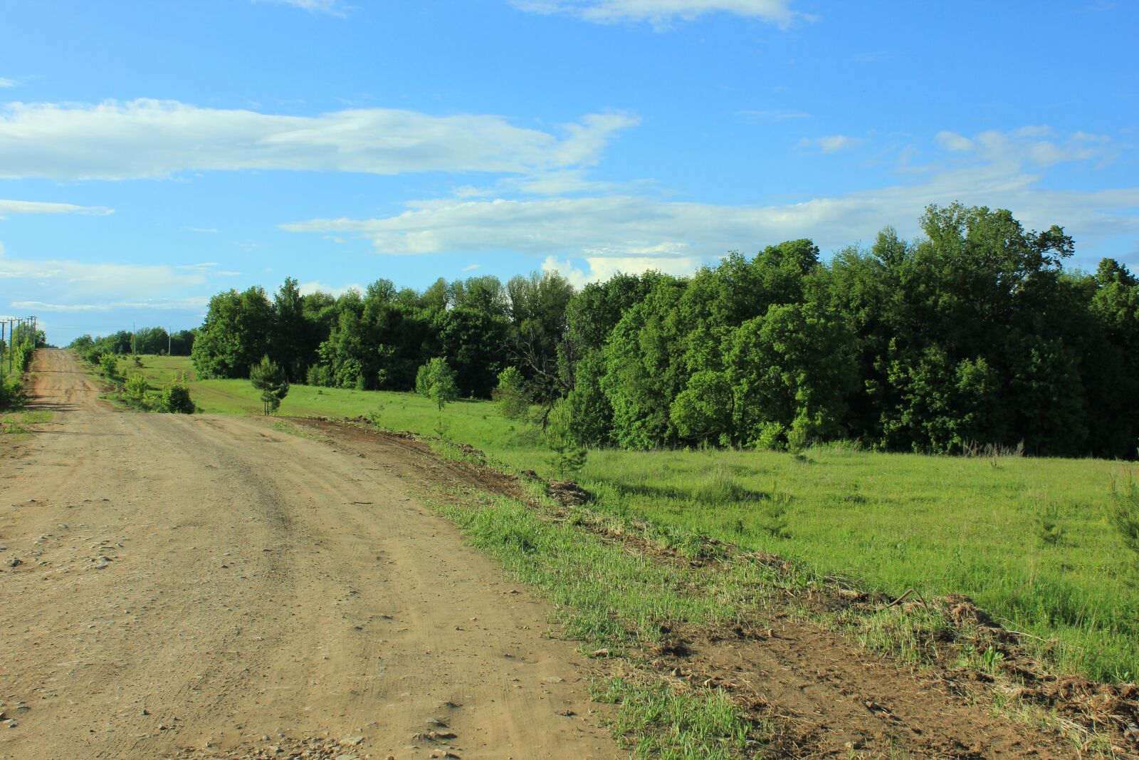 Canon EOS 550D (EOS Rebel T2i / EOS Kiss X4) sample photo. Russia, road, tree photography