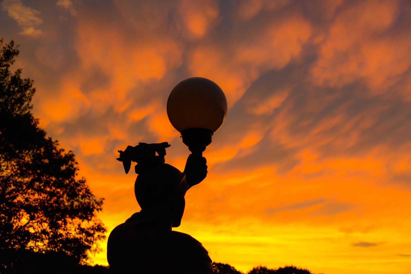 Nikon D800 sample photo. Sunset, sky, scenic photography