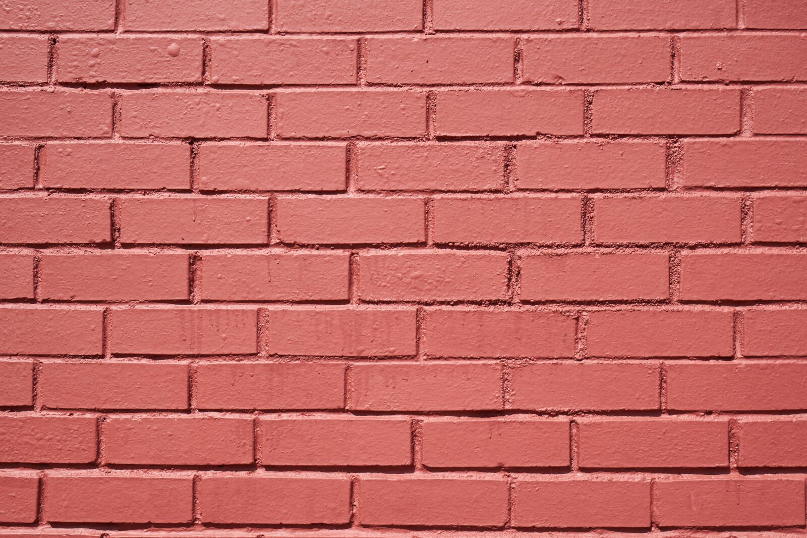 Sony a7R II sample photo. Brick wall, red, pink photography
