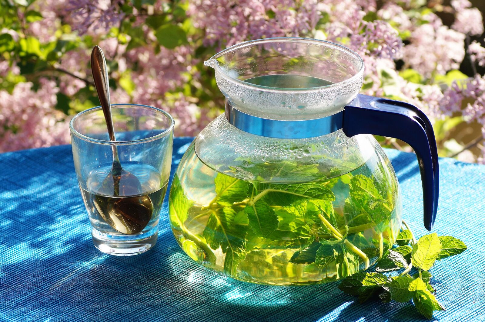 Sony SLT-A58 sample photo. Fresh, mint, tea photography