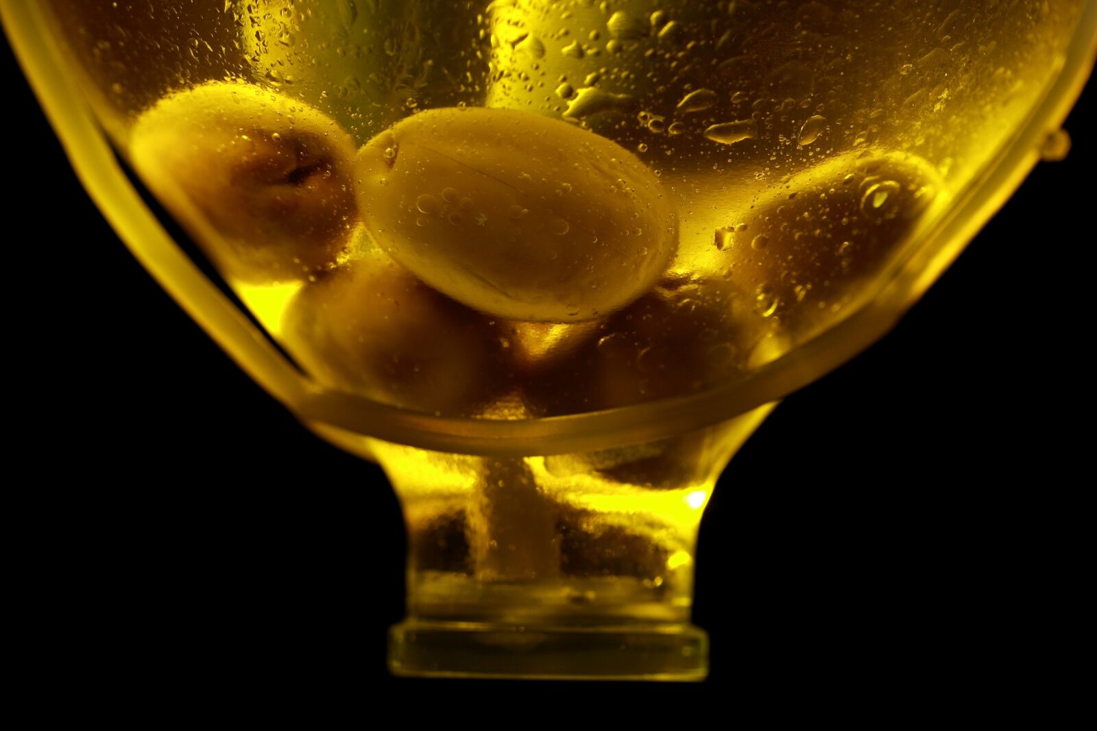 Canon EOS 40D sample photo. Olives, bottle, olive oil photography