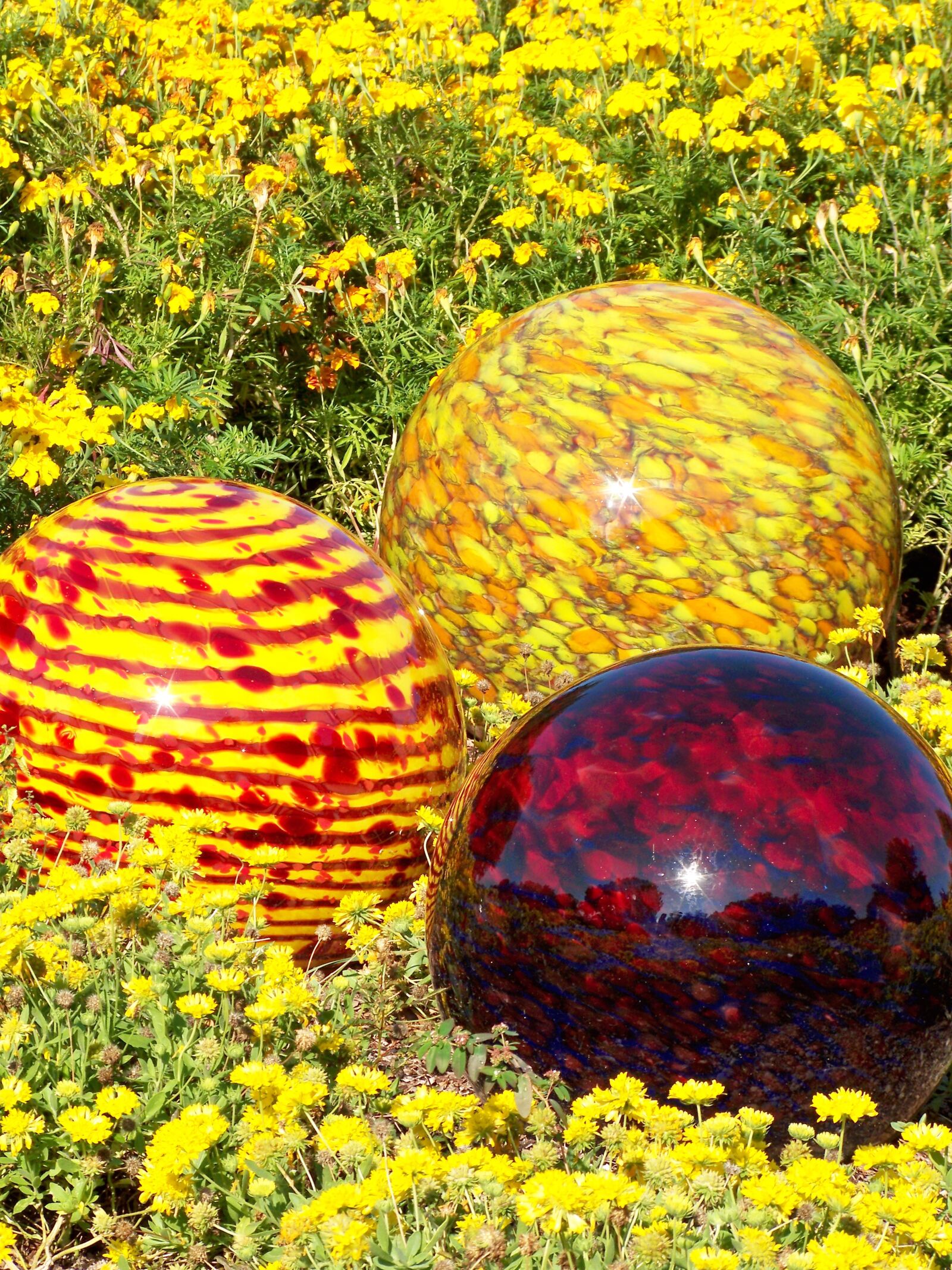 Kodak EASYSHARE Z1012 IS DIGITAL CAMERA sample photo. Chihuly, art-glass, orbs photography