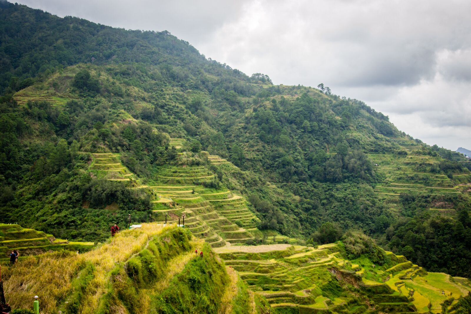 Nikon D3100 sample photo. Philippines, rice terraces, banaue photography