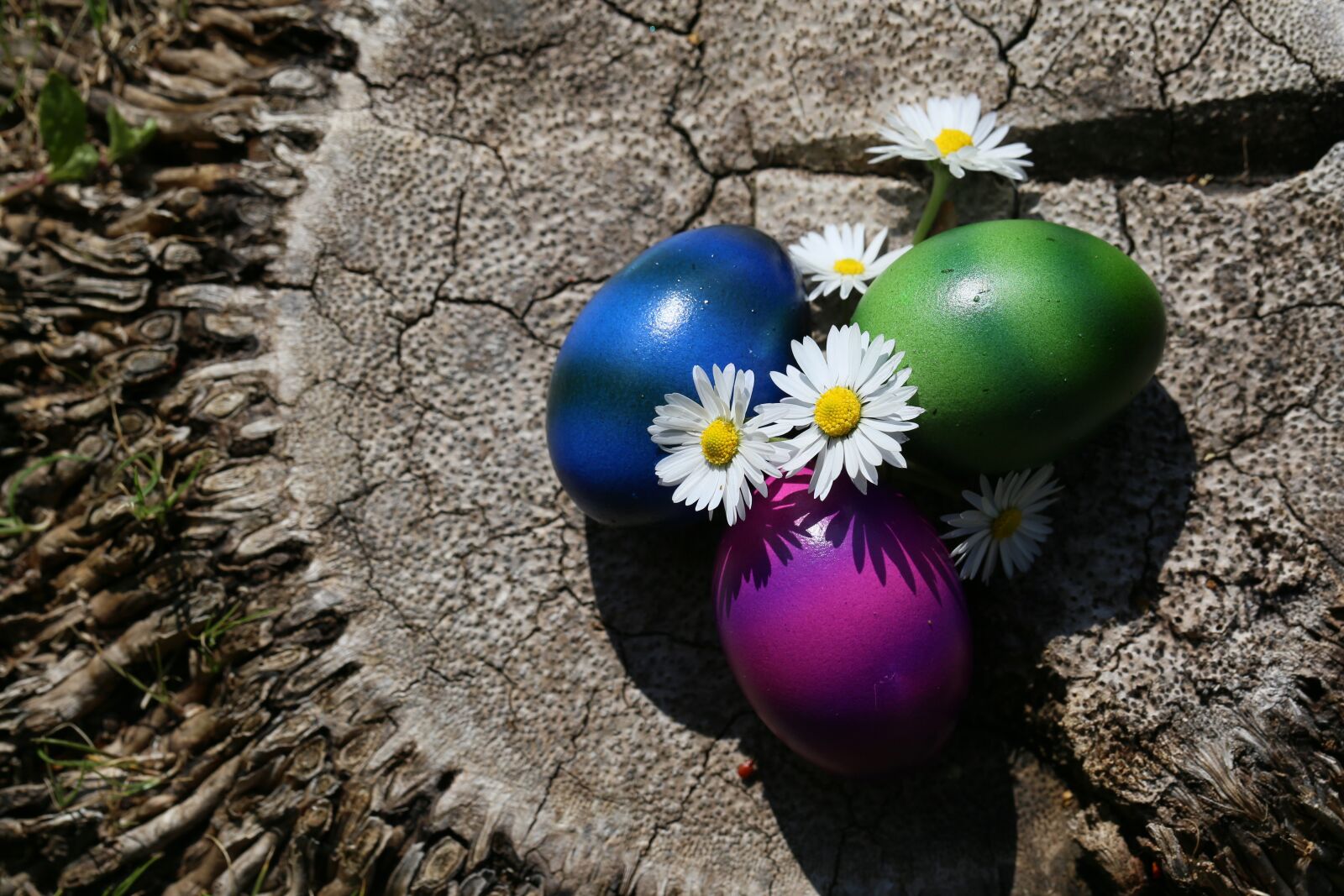 Canon EF 100mm F2.8L Macro IS USM sample photo. Easter, easter eggs, colorful photography