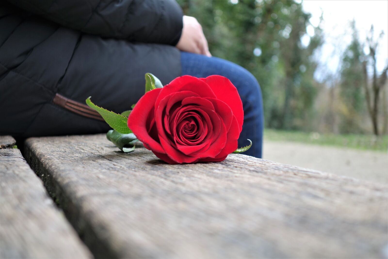 Sony Cyber-shot DSC-RX100 II sample photo. Girl with red rose photography