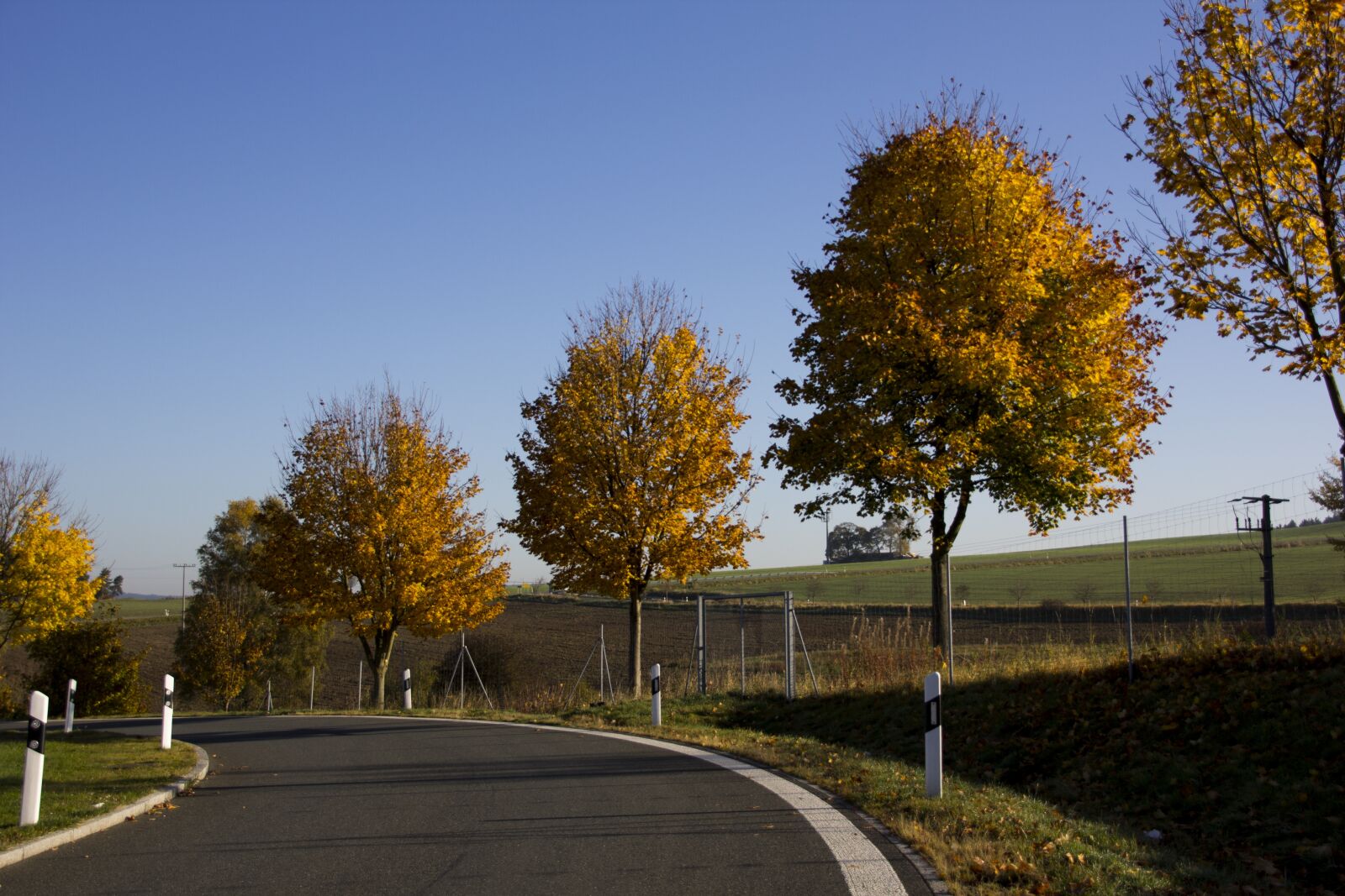 Canon EOS 60D sample photo. Autumn, trees, golden autumn photography