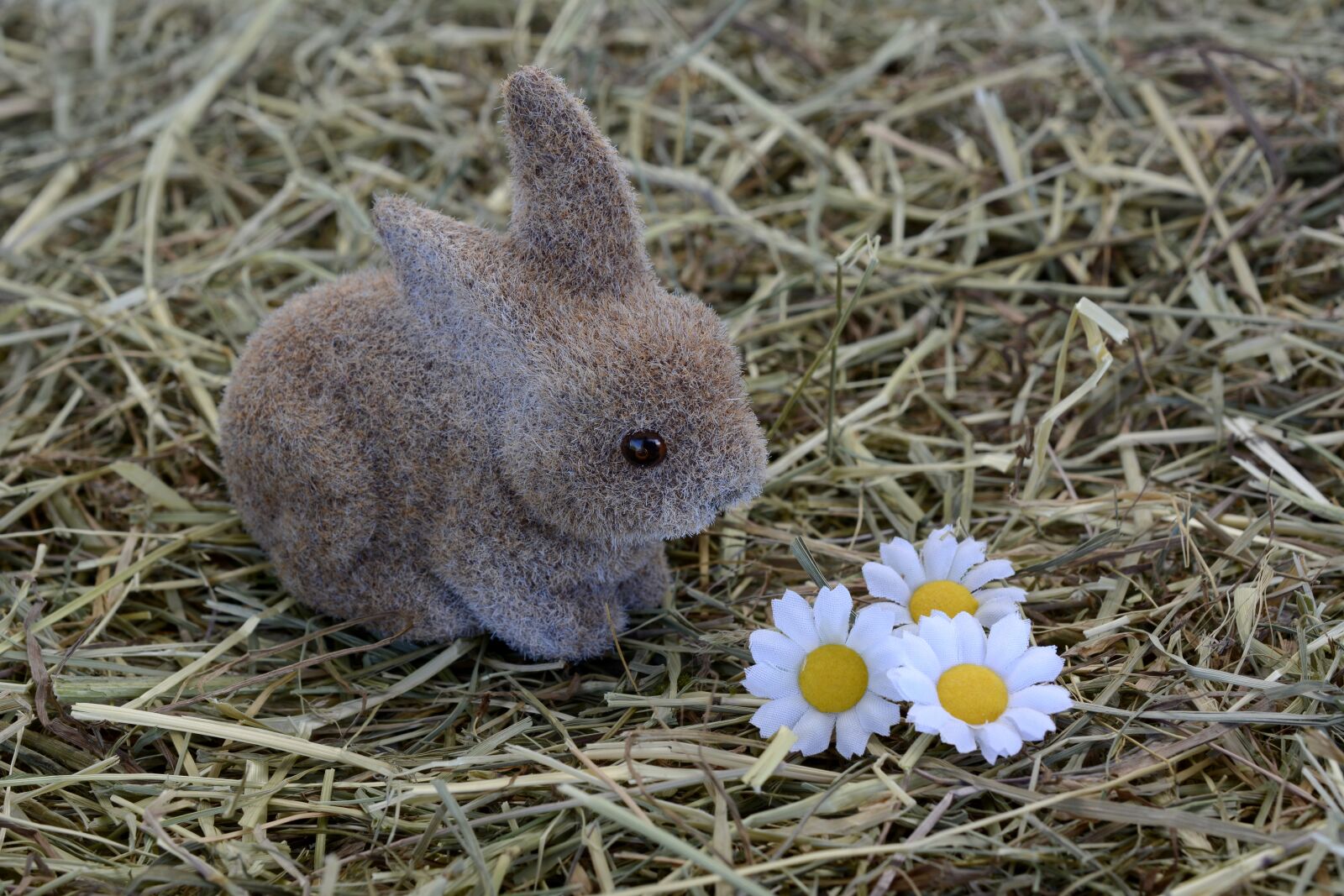 Nikon D7100 sample photo. Bunny, hare, easter decoration photography