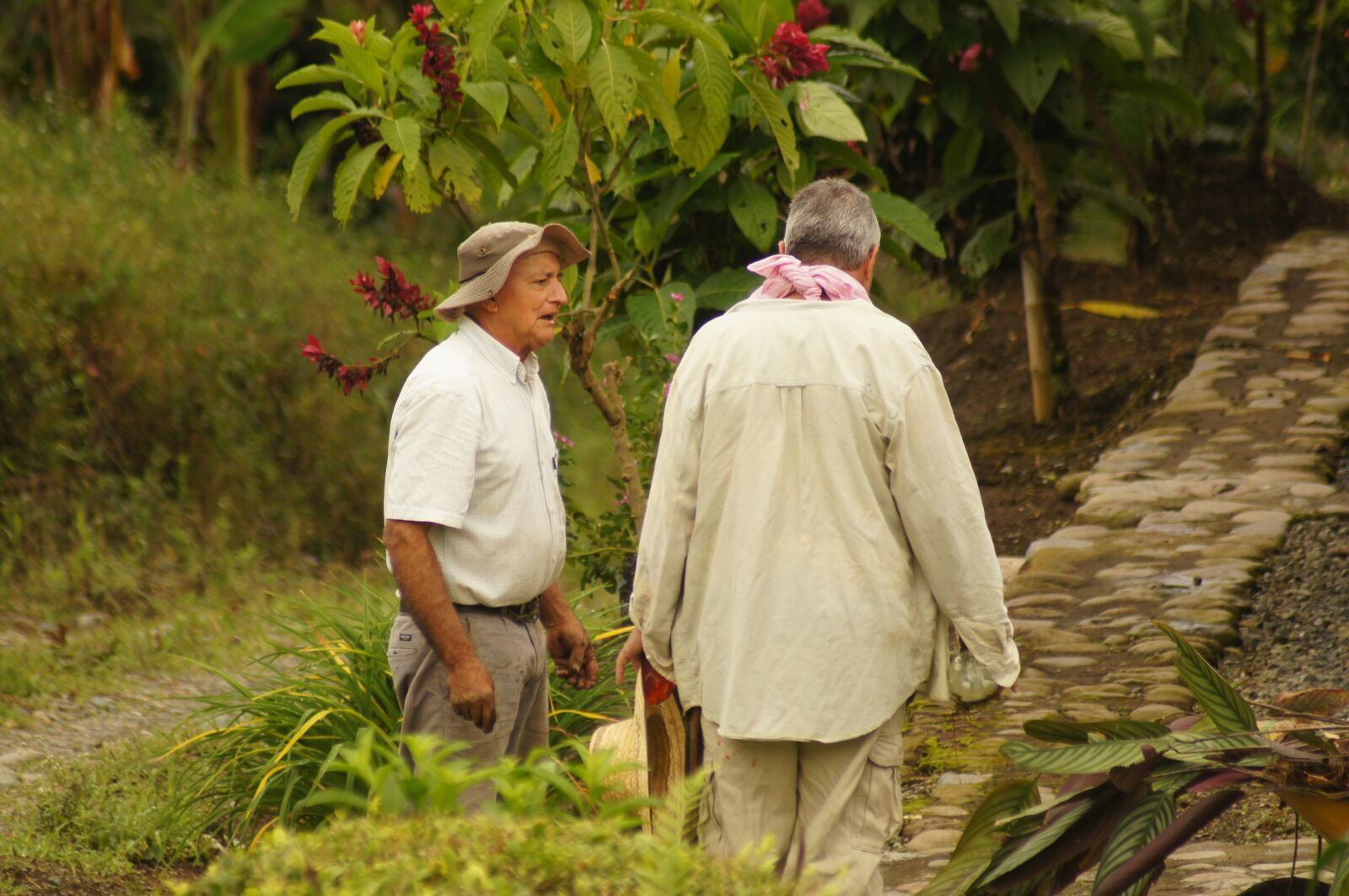 Sony SLT-A55 (SLT-A55V) sample photo. Peasants, finlandia, quindio photography