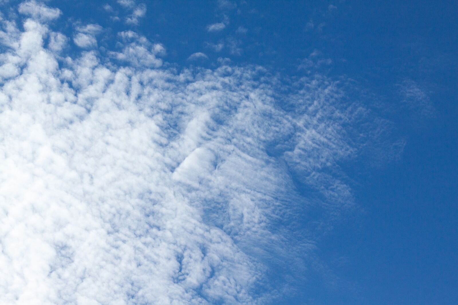 Canon EOS 50D sample photo. Clouds, blue, white photography