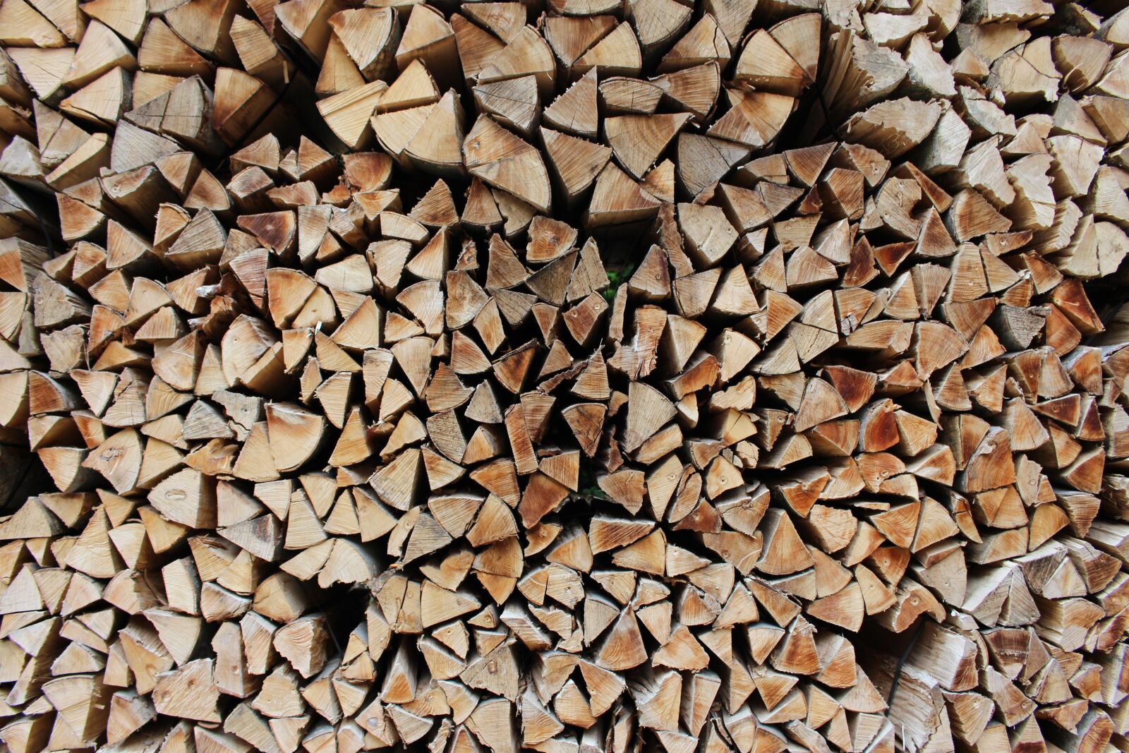 Canon EOS 700D (EOS Rebel T5i / EOS Kiss X7i) sample photo. Wood, timber, lumber photography