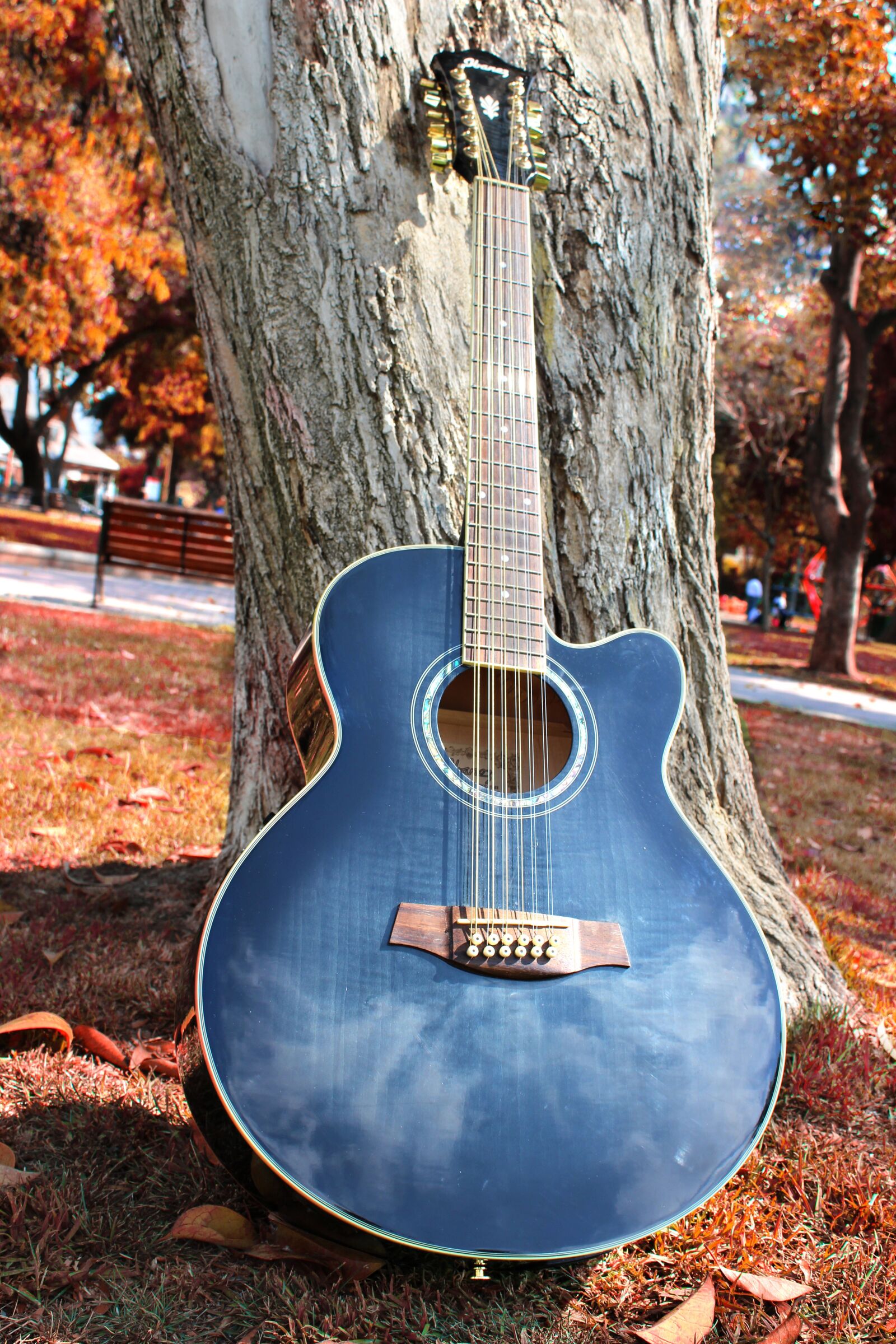 Canon EOS 600D (Rebel EOS T3i / EOS Kiss X5) sample photo. Guitar, acoustic clouds, autumn photography