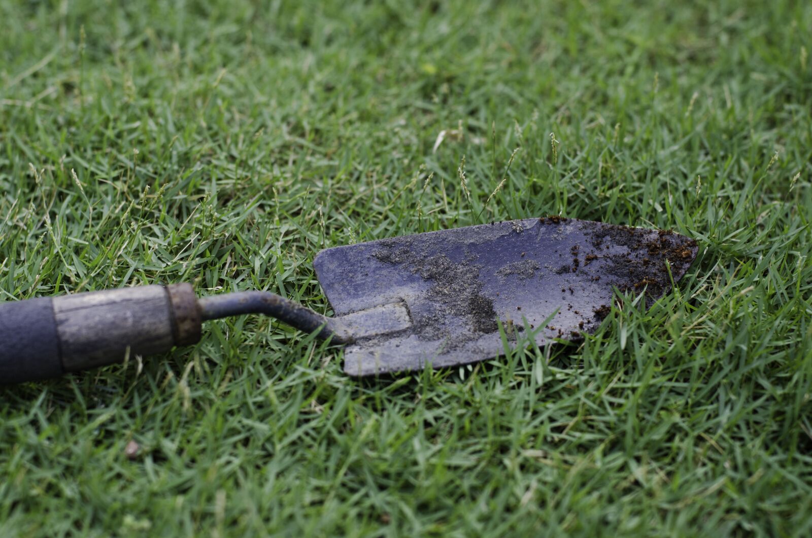 Nikon D7000 sample photo. Hand trowel, garden tool photography