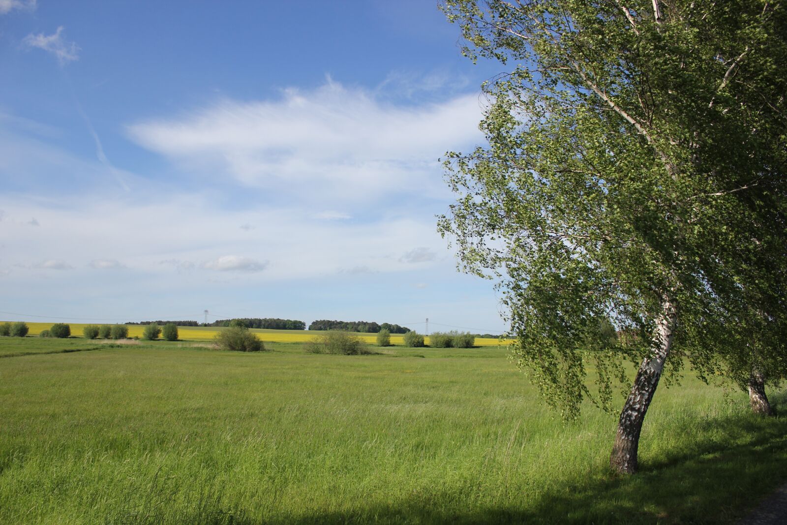 Canon EOS 550D (EOS Rebel T2i / EOS Kiss X4) sample photo. Summer, nature, landscape photography