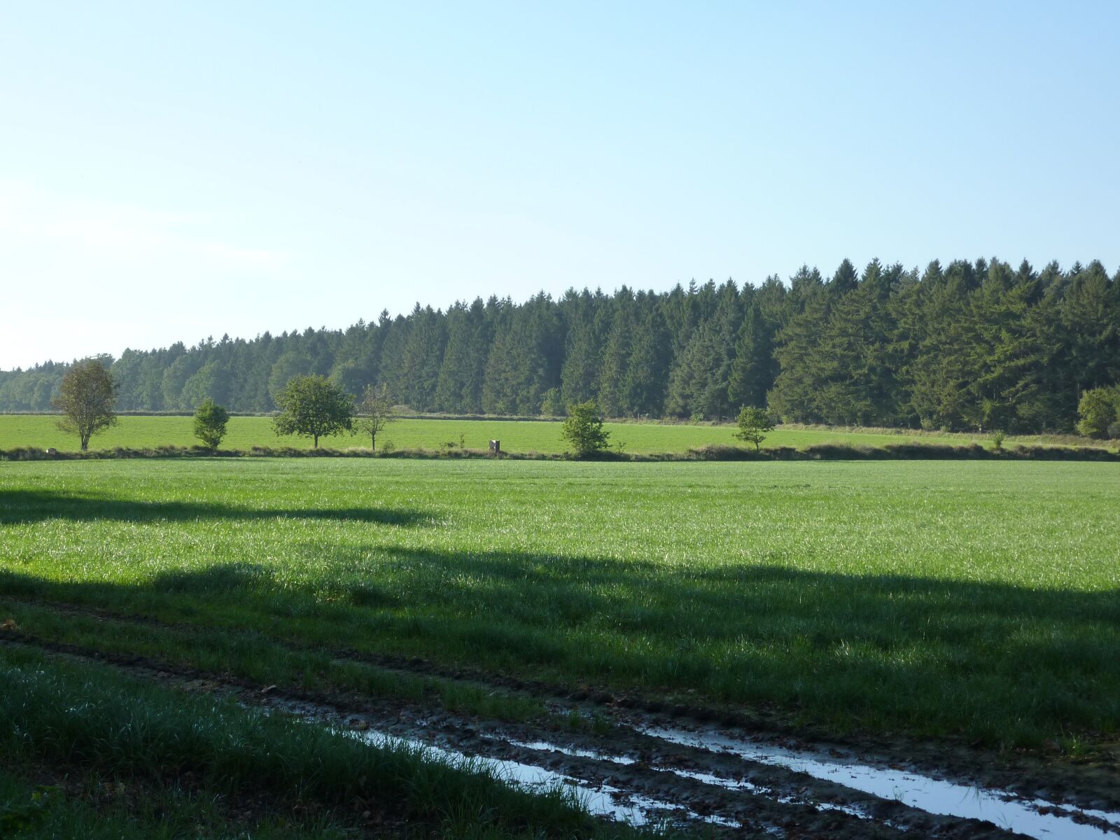 Panasonic DMC-TZ7 sample photo. Dithmarschen, landscape, meadow photography