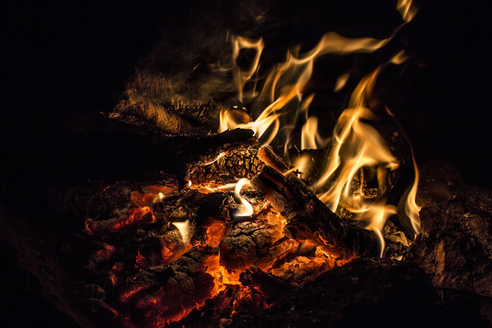 Canon EOS 600D (Rebel EOS T3i / EOS Kiss X5) sample photo. Flame, burn, heat photography