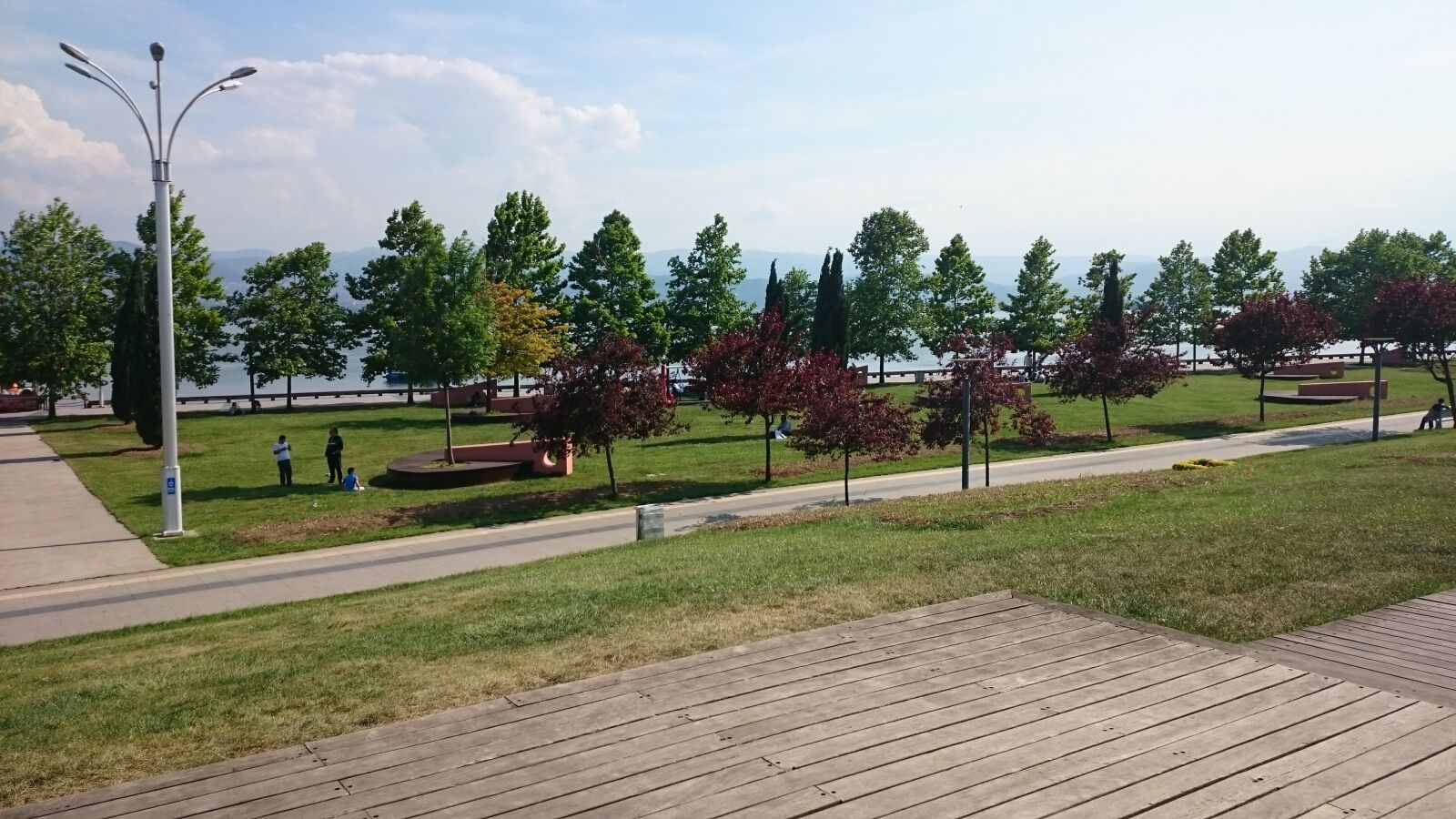 Sony Xperia Z1 sample photo. Nature, trees, seaside park photography