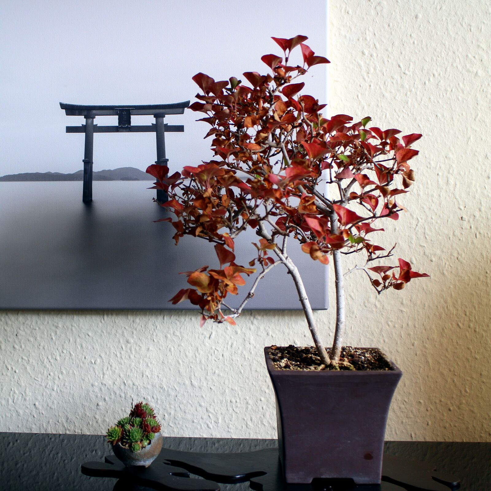 Canon EOS M sample photo. Leaf, tree, nature photography