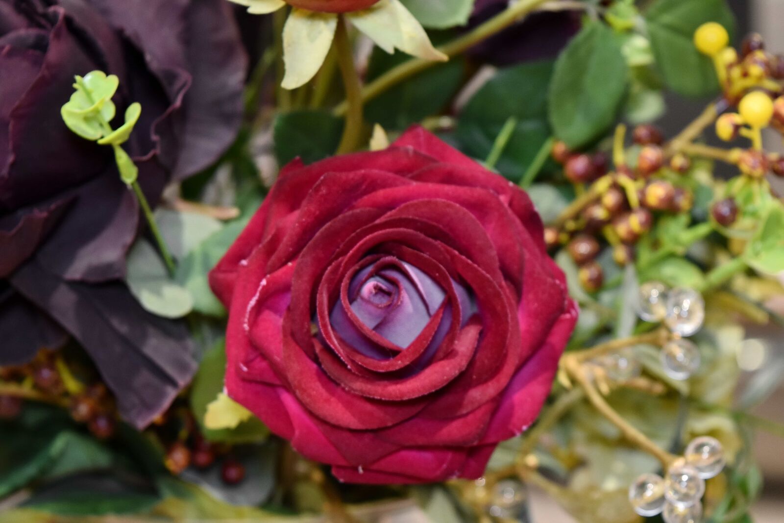 Nikon D5500 sample photo. Close-up, fragrance, petals, red photography