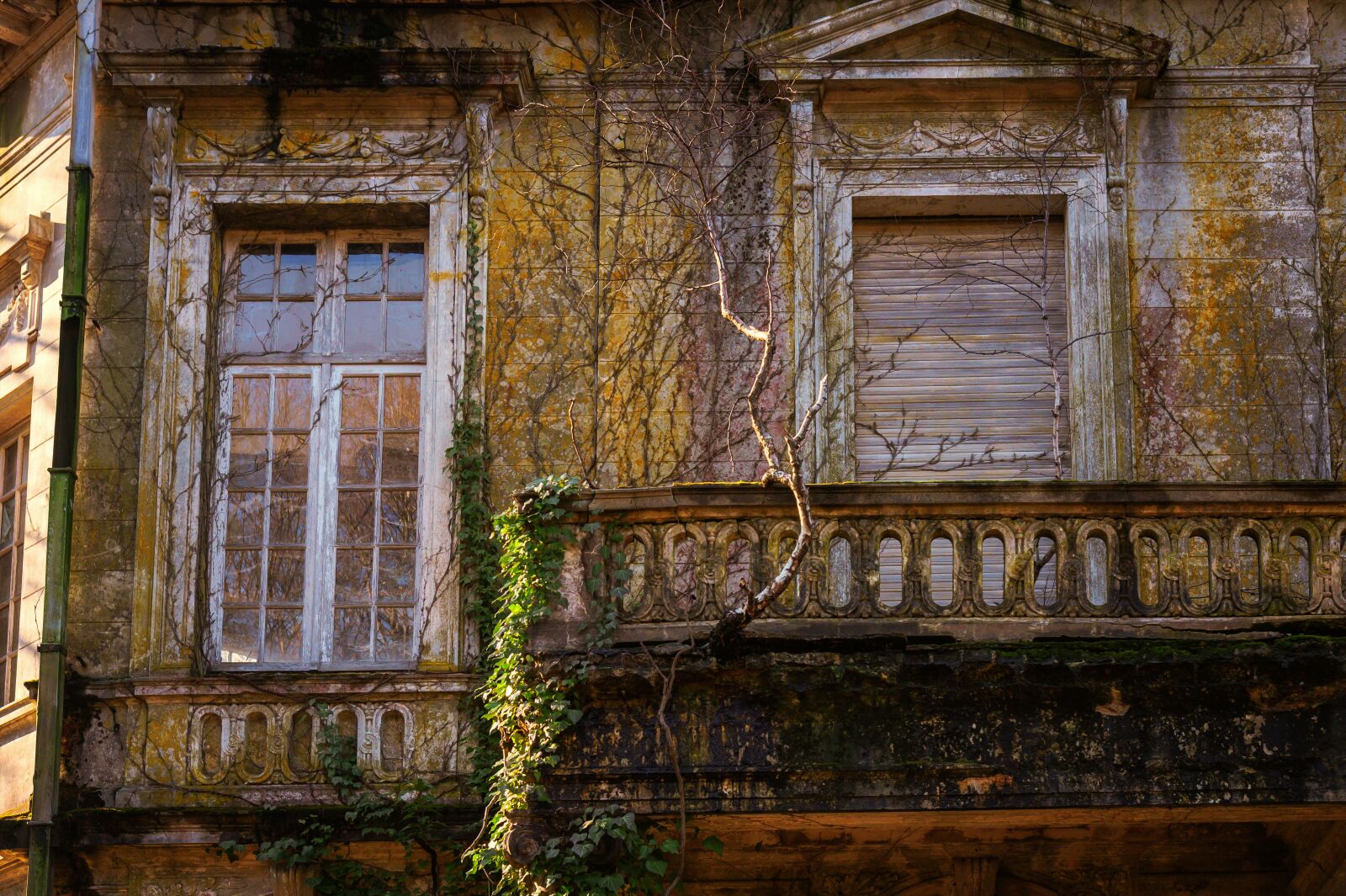Nikon Z6 sample photo. House, facade, window photography