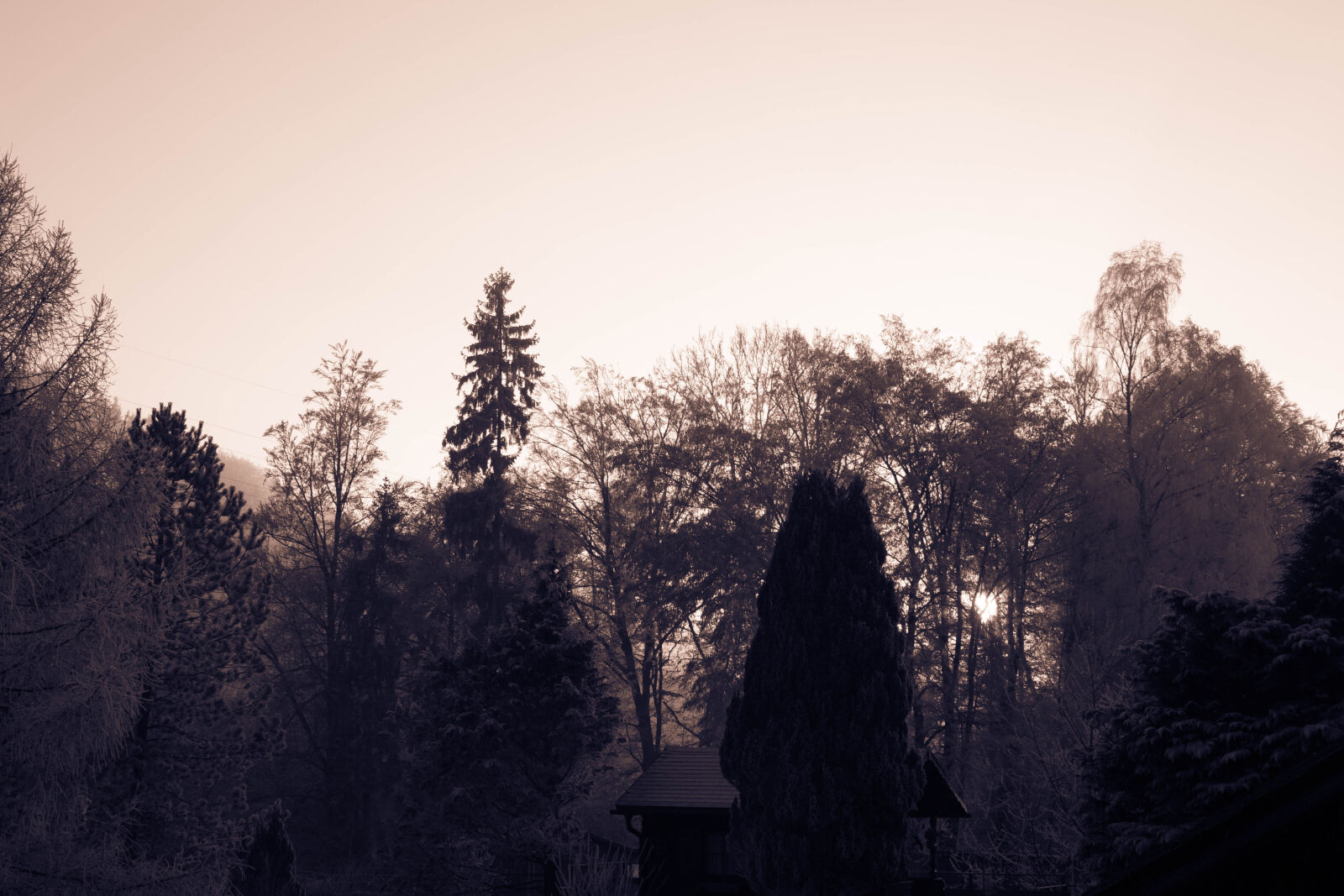 Canon EOS 700D (EOS Rebel T5i / EOS Kiss X7i) sample photo. Dark, sky, sun, tree photography