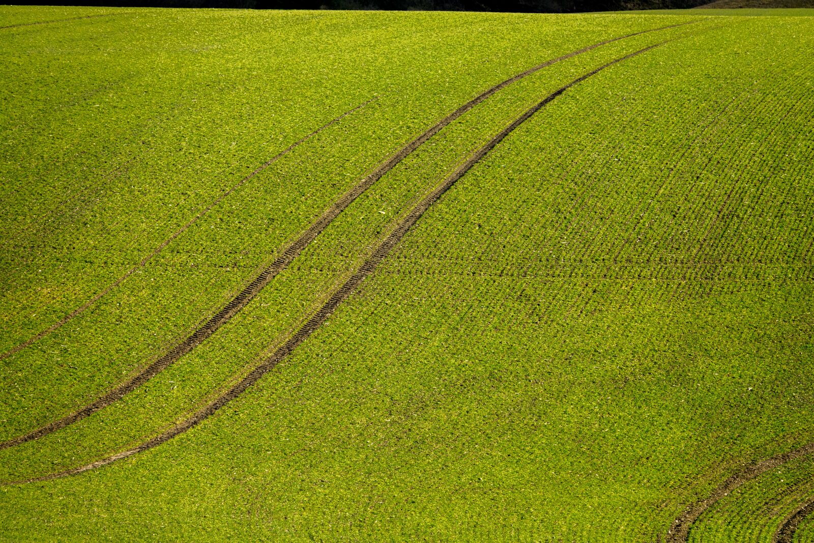 Sony Cyber-shot DSC-RX10 III sample photo. Lane, field, abstract photography
