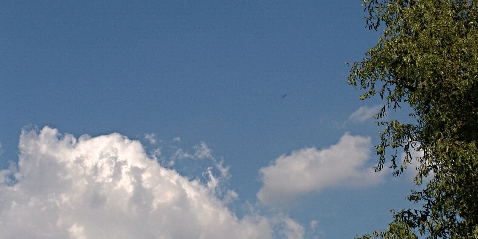 KONICA MINOLTA DiMAGE Z3 sample photo. Sky, blue, cloud photography